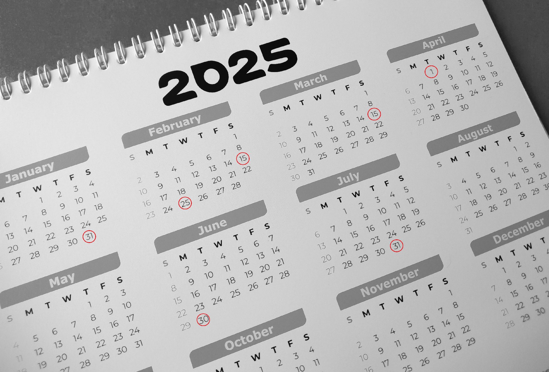 Tax Calendar 2025